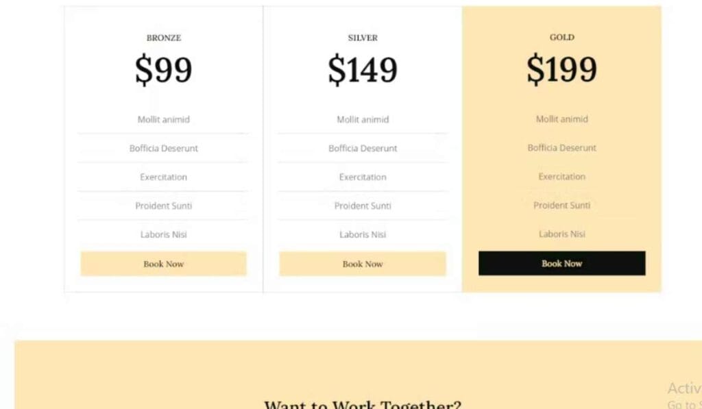 None - Stylish Fashion Elementor Template