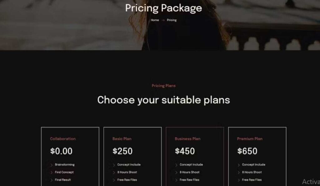 Zenin - Photography & Portfolio Elementor Template