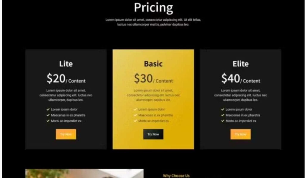 Influos - Influencer Agency Elementor Template