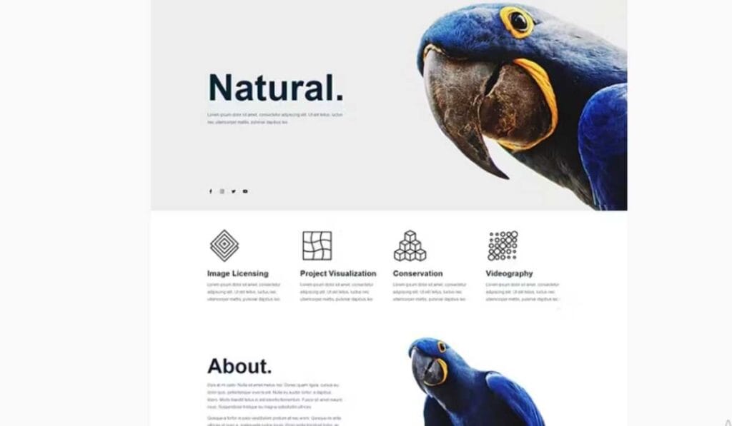 Dinostic - Animal Photography & Portfolio Elementor Template